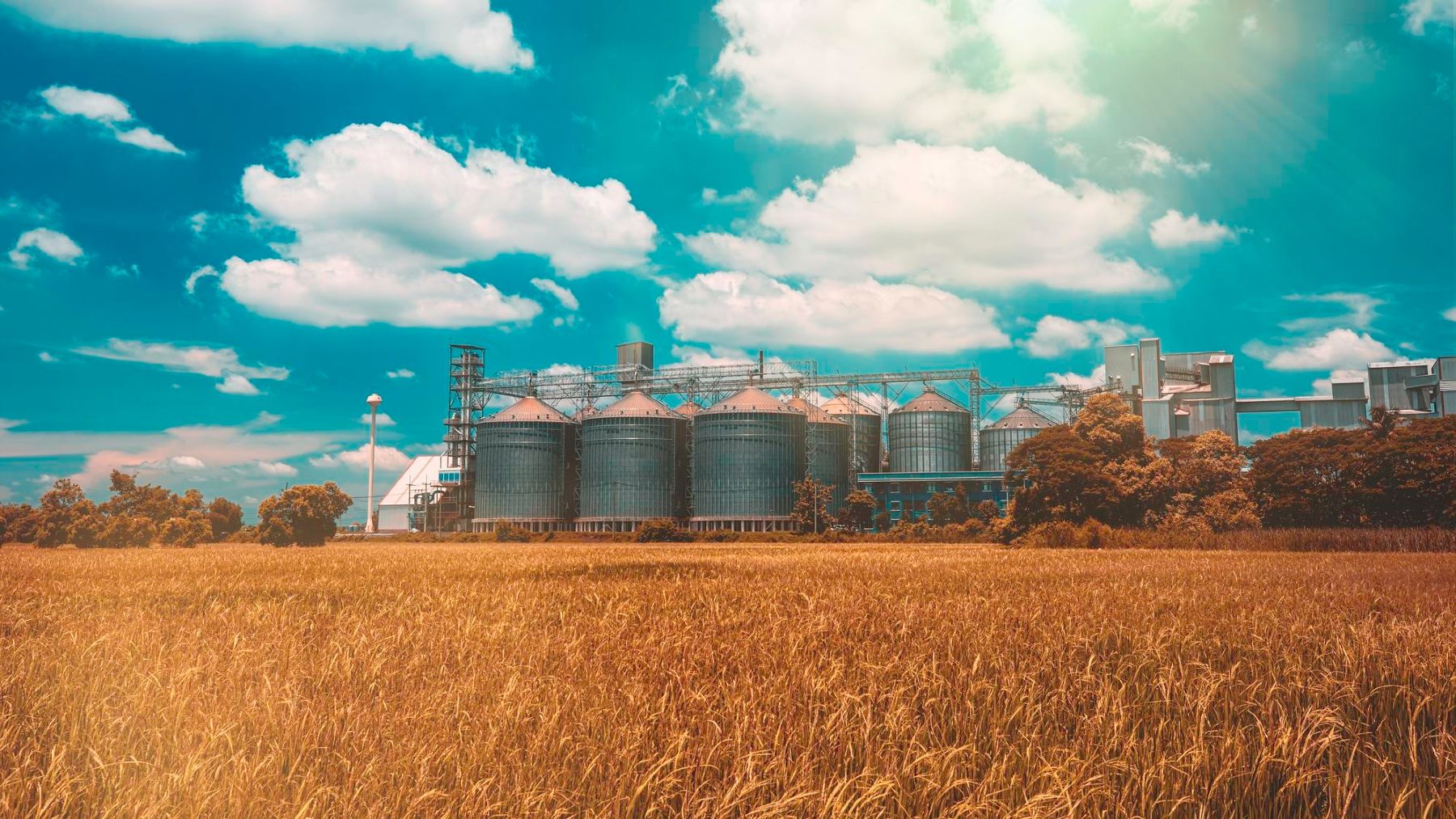 hydrogen farming, United States