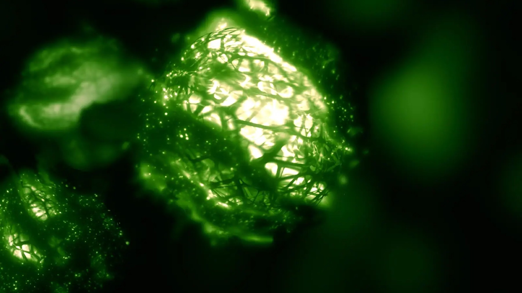 artificial photosynthesis