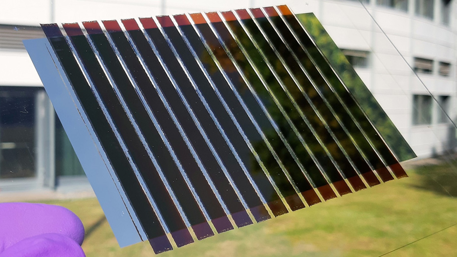 perovskite solar panels