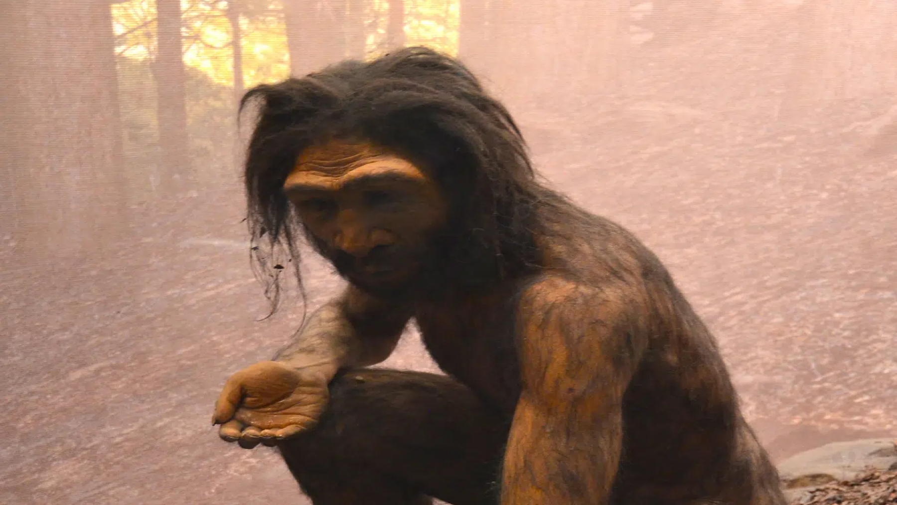 China's discovery of the millennium