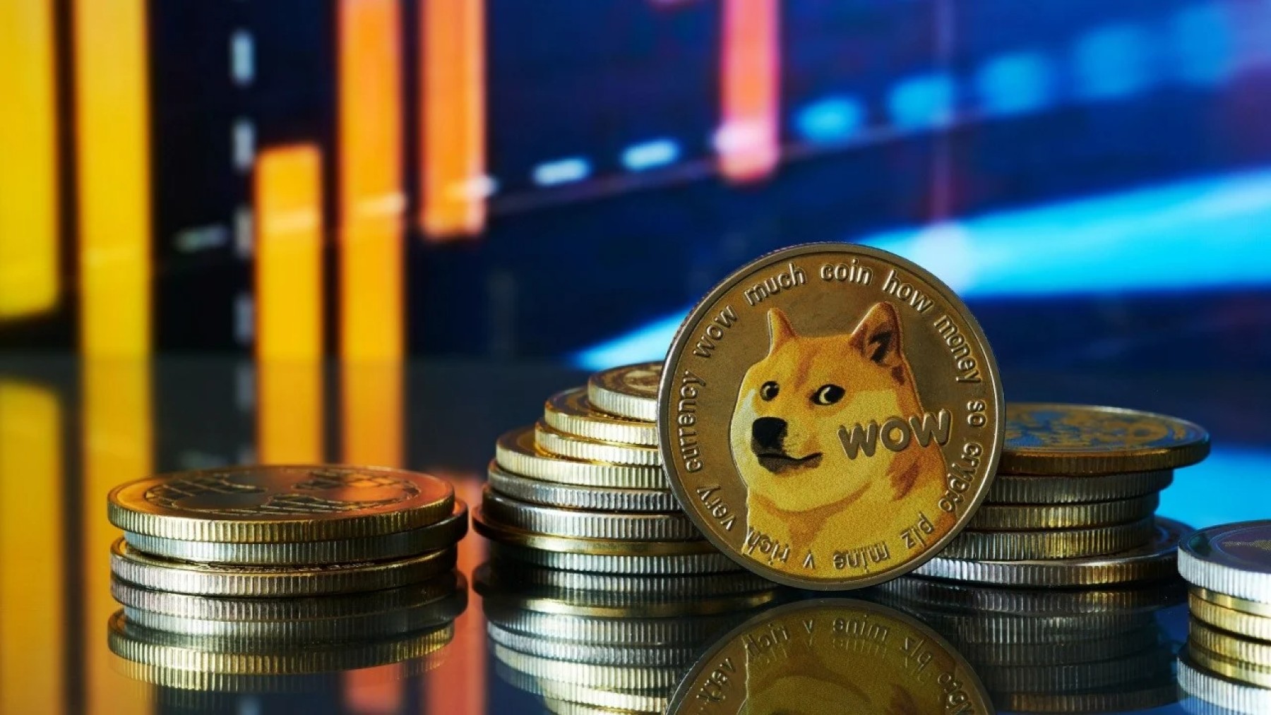 bitcoin dogecoin