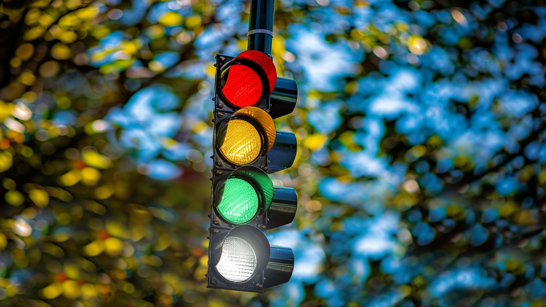 four color traffic lights