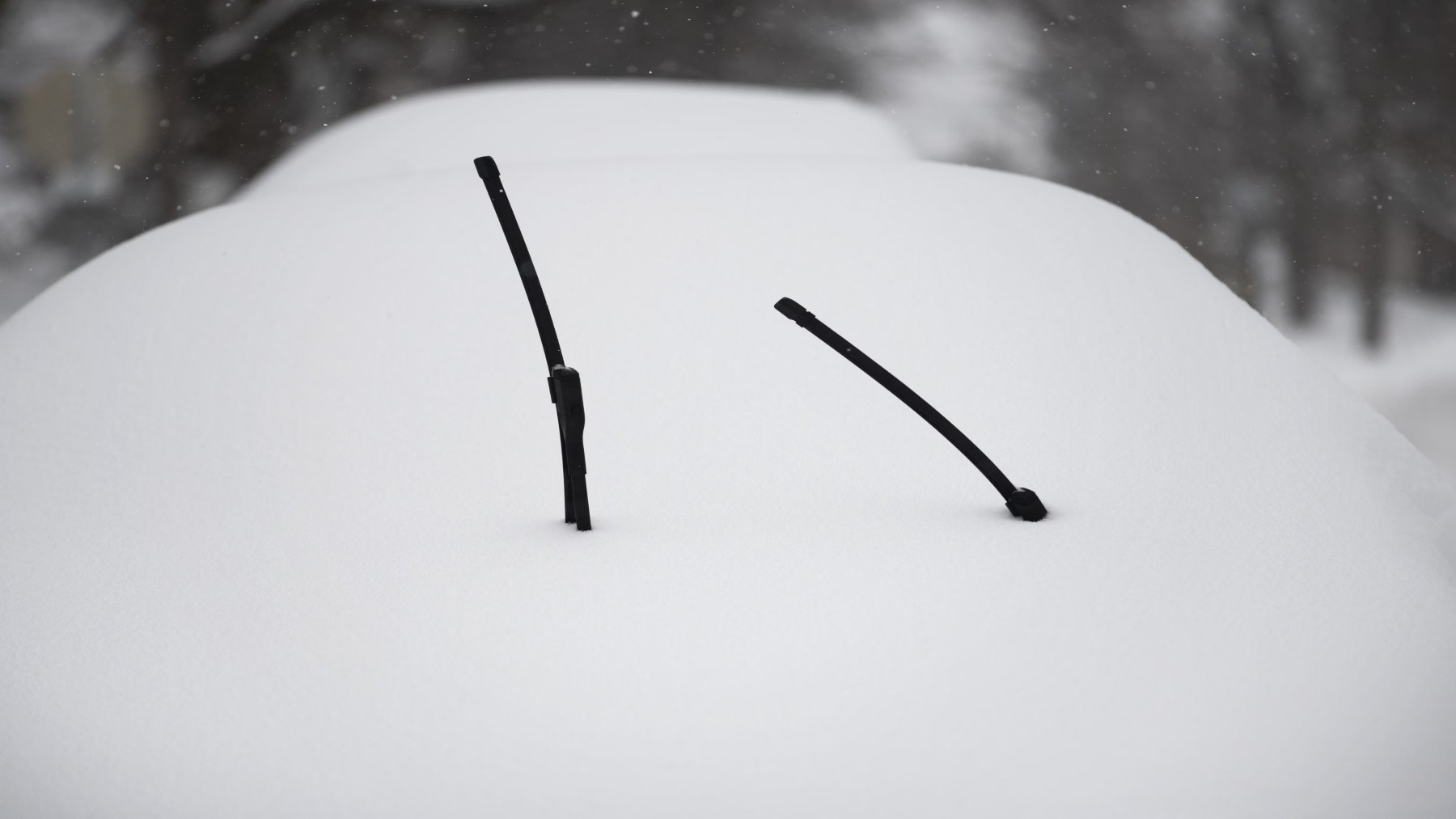 Windshield wipers