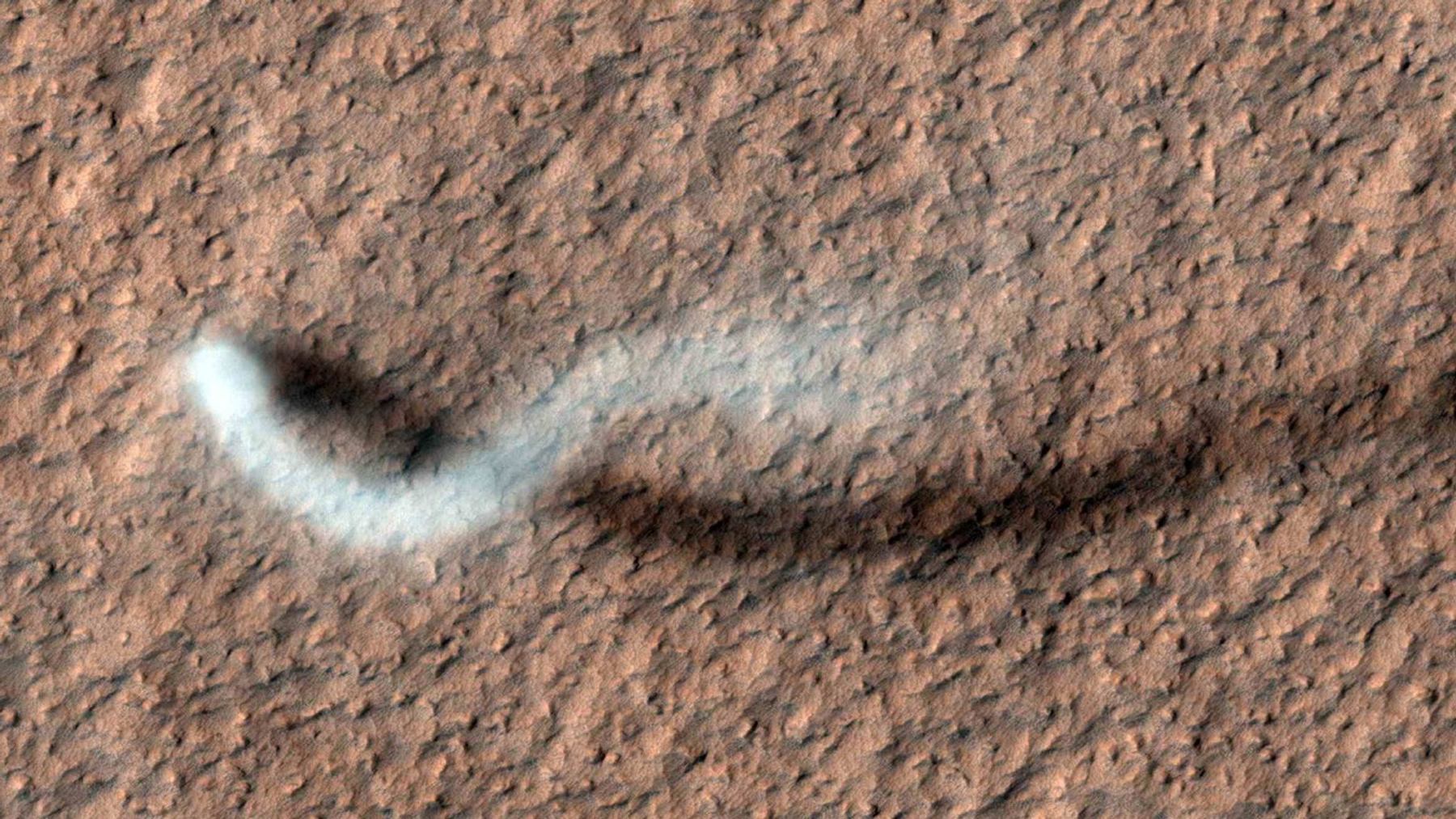 Martian dust devils