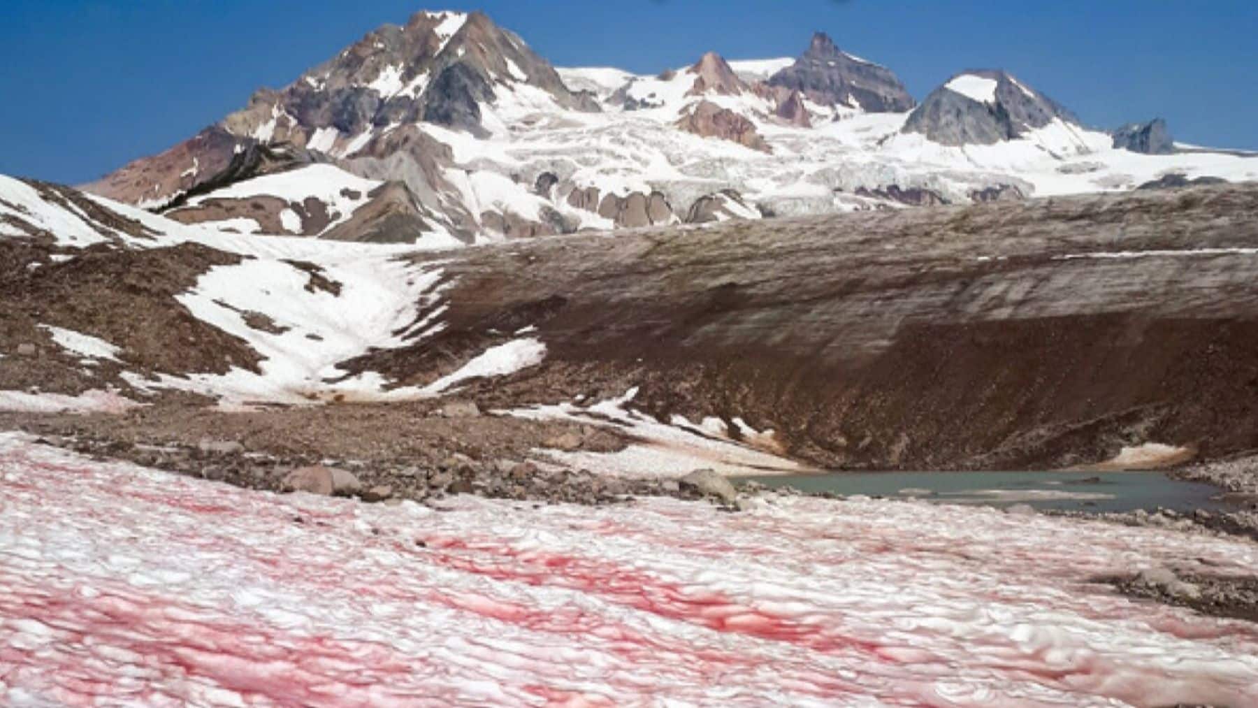 Pink snow in western US states