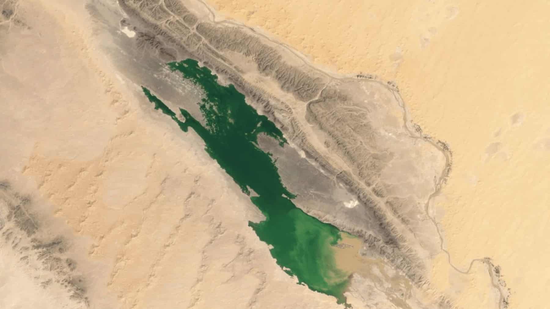 the sahara desert green nasa monitoring