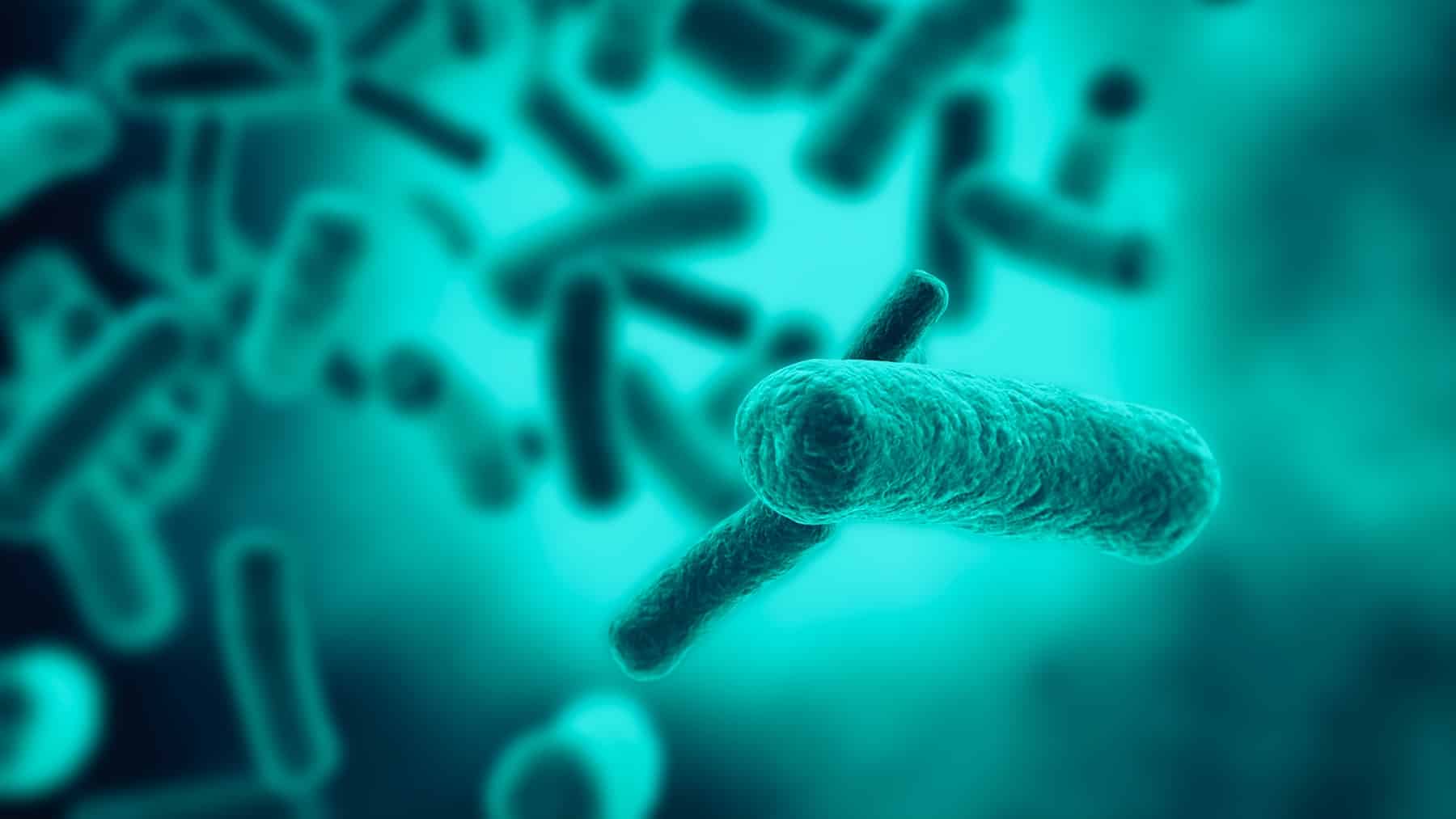 new form of life in great lakes