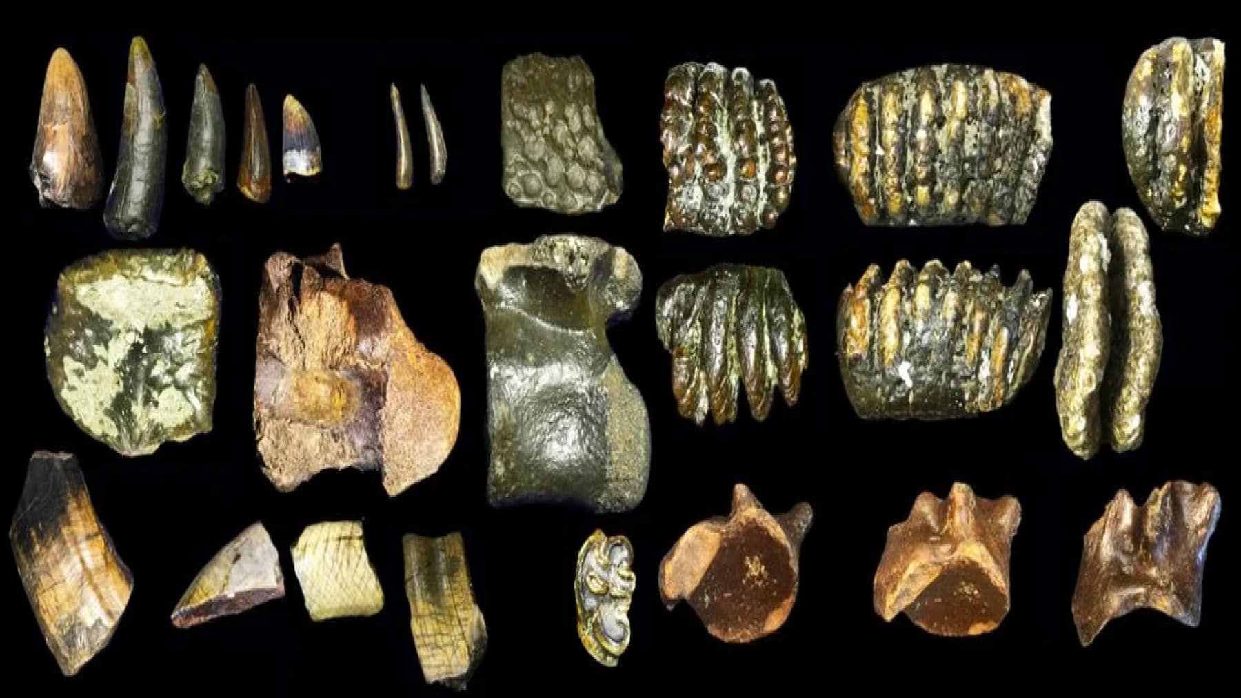 Deep ocean secret unveiled