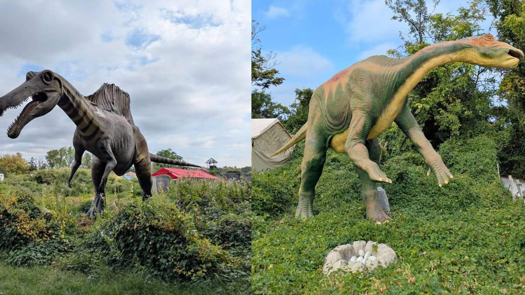 Life-size dinosaurs on sale online