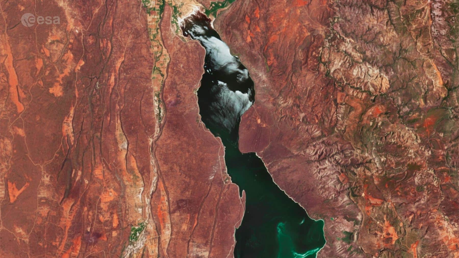 Tibet continent splitting reshapes Earth’s geology