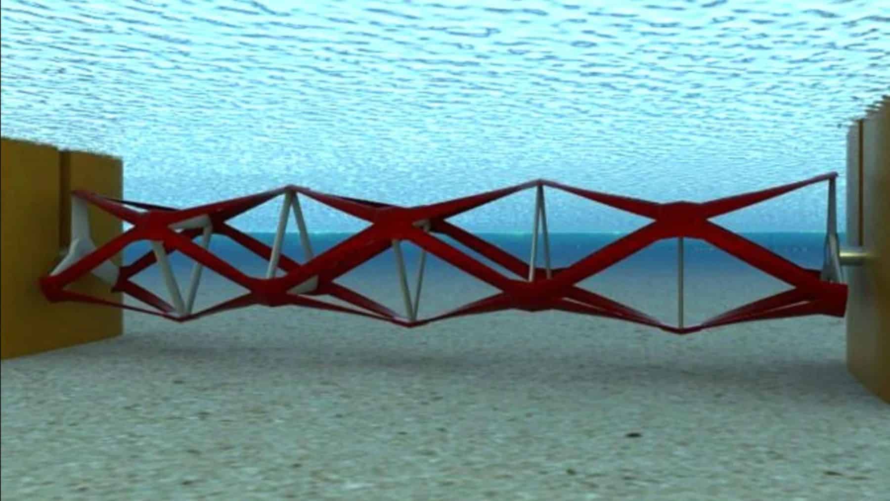 absorb the power of the sea utopia