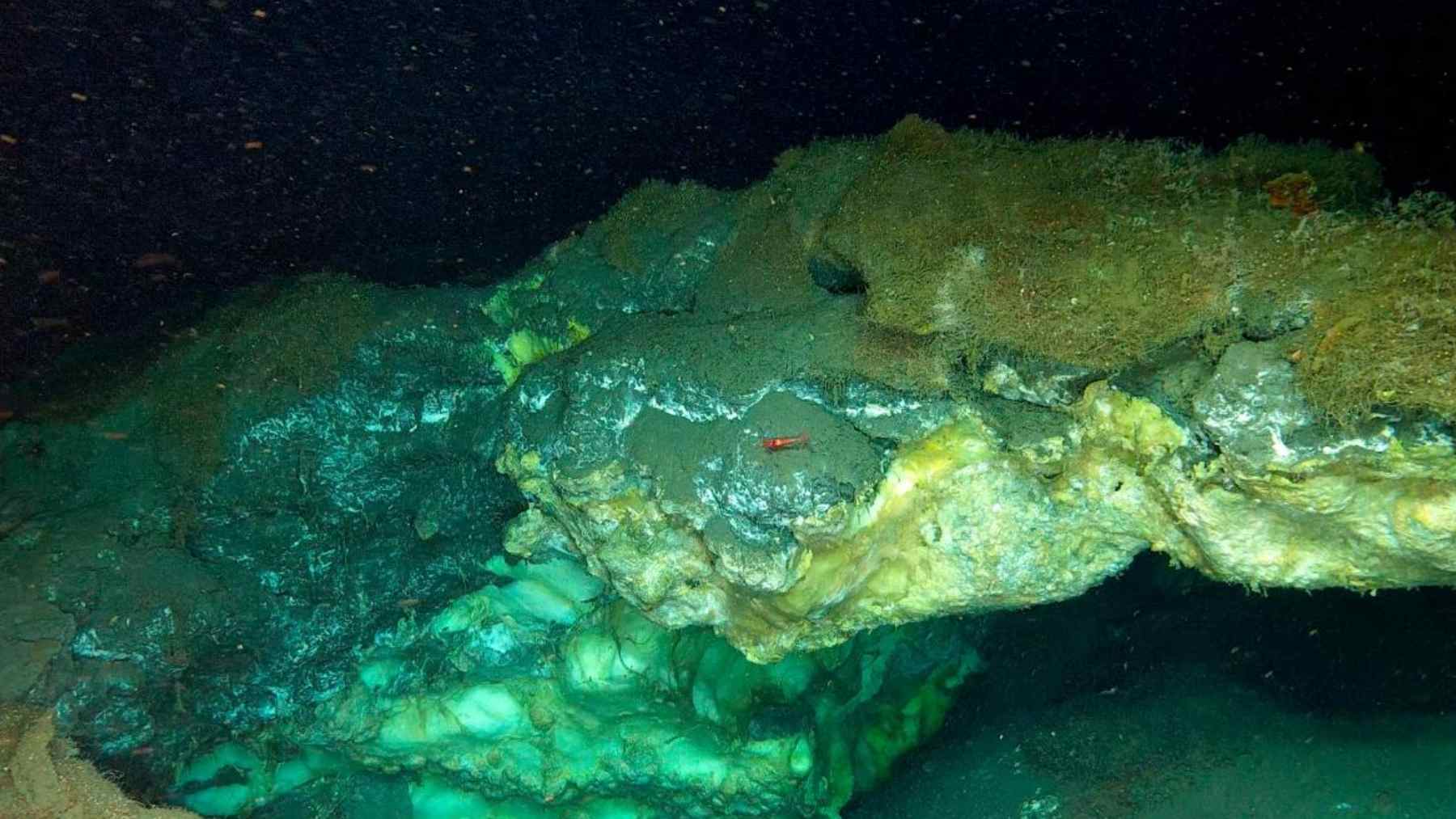 ROV image of the Arctic seabed at 3,640m, showing a hydrate mound and methane seep “living oasis” ecosystem.