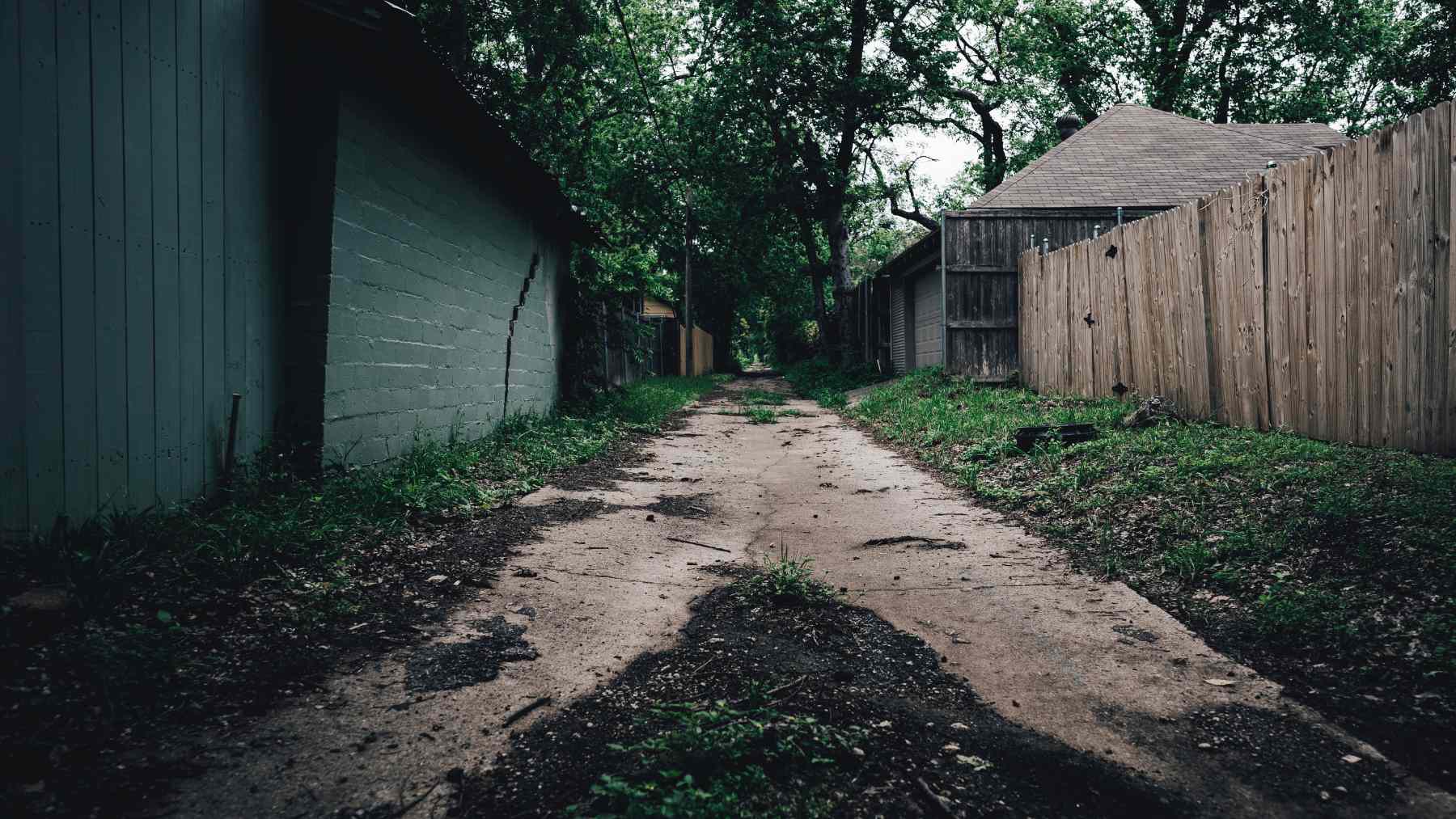 Shaded backyard alleyway with trees and fences, symbolizing garden habitats where ants may produce superbug-killing chemicals.