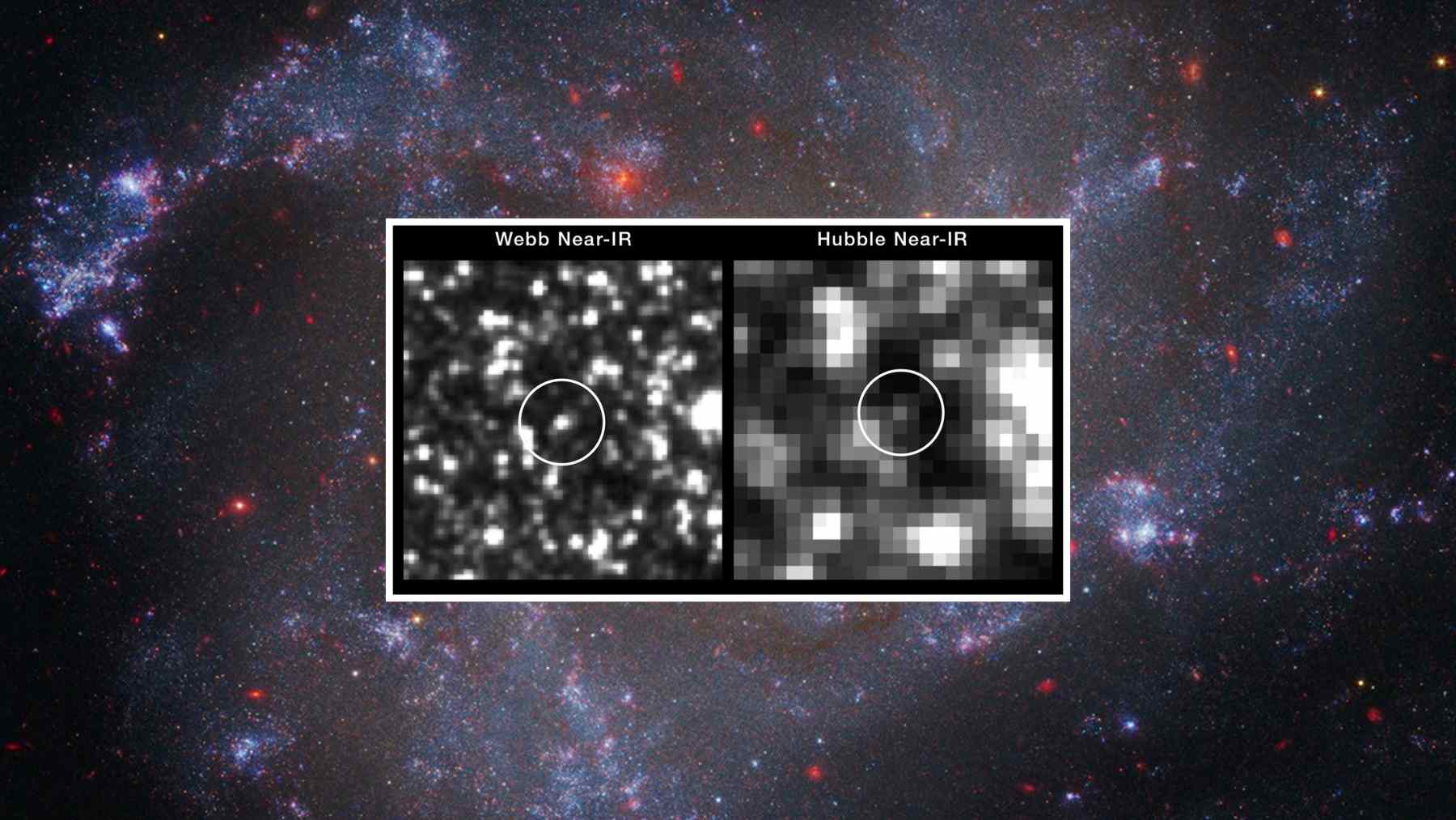 Side-by-side Webb vs Hubble near-infrared view of a Cepheid field, showing Webb resolving crowding that can blur distance measurements.