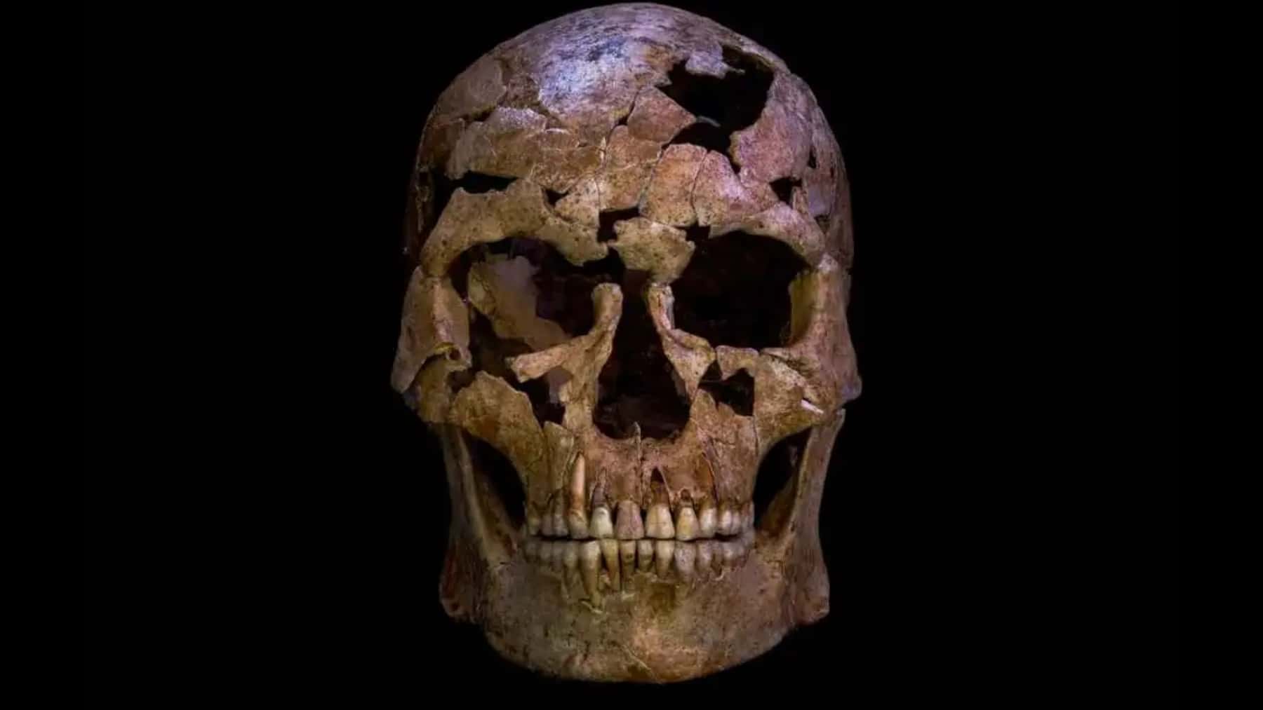 Front view of a fragmented ancient human skull fossil with visible cracks and missing sections against a black background.