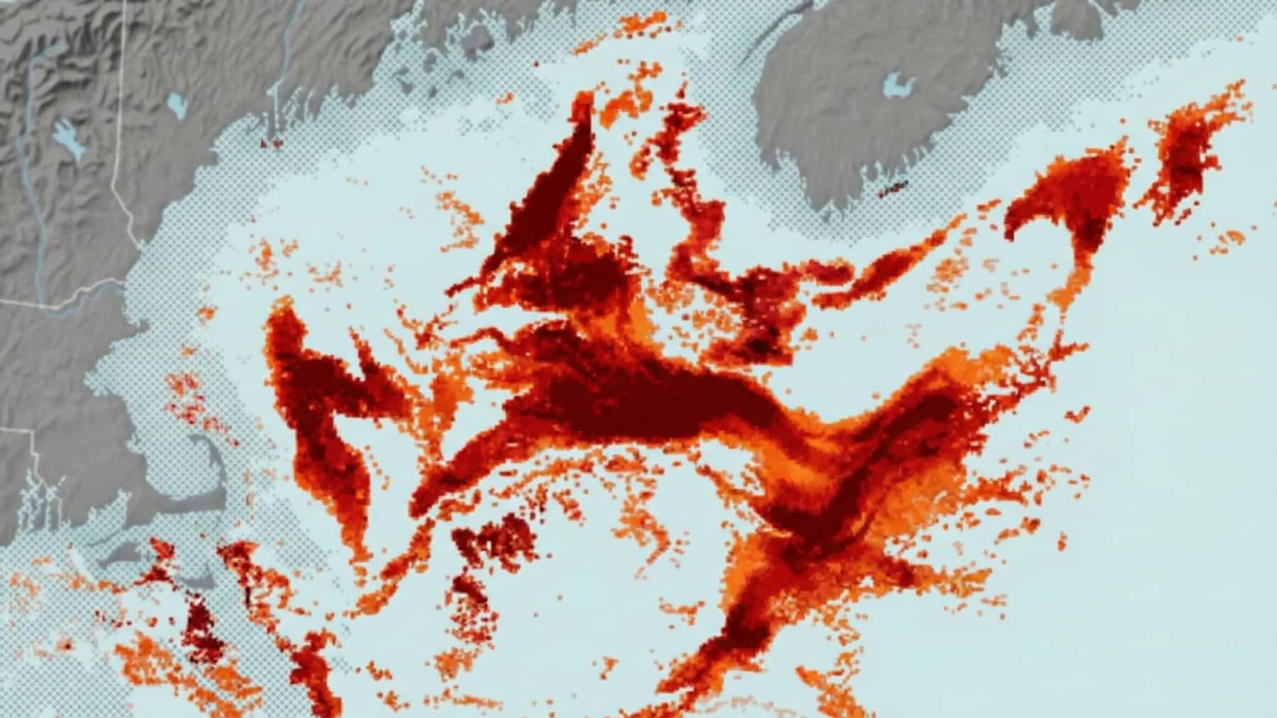 Map showing marine heatwaves and ocean surface temperature anomalies highlighted in red and orange tones.