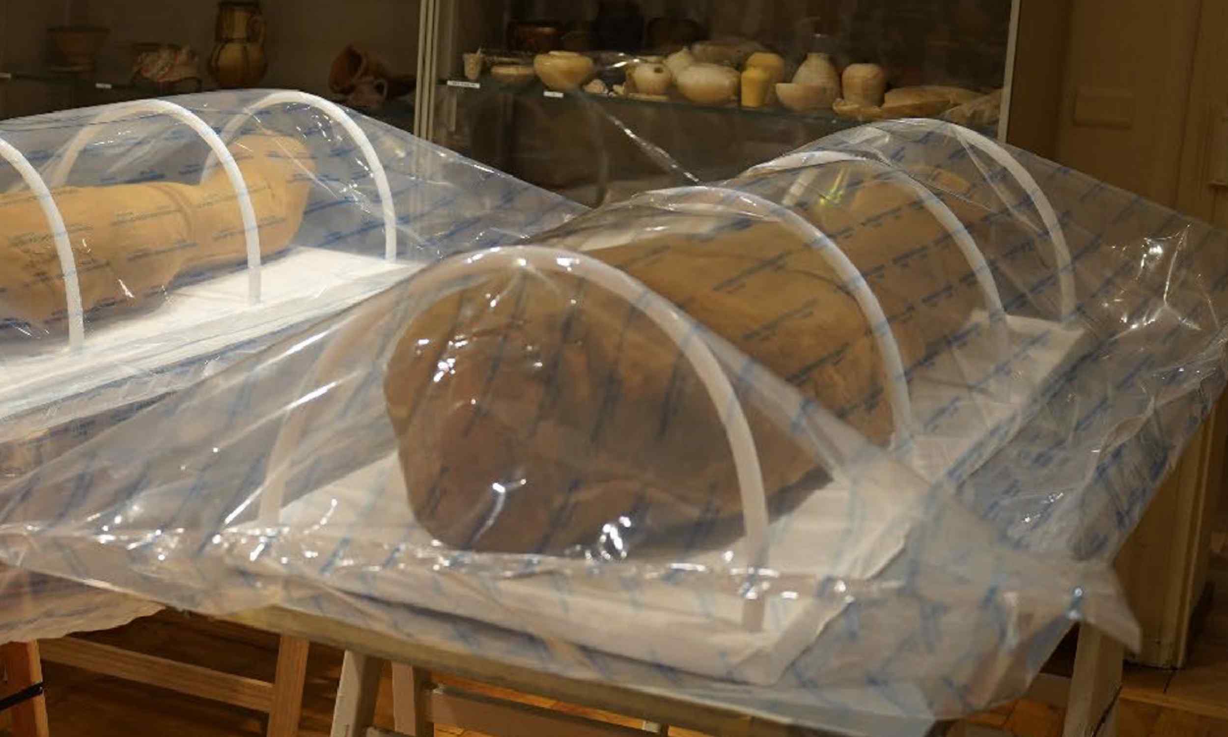 They found more than 50 mummies stored carefully but still at risk, and from that problem arose an idea as simple as it was revolutionary