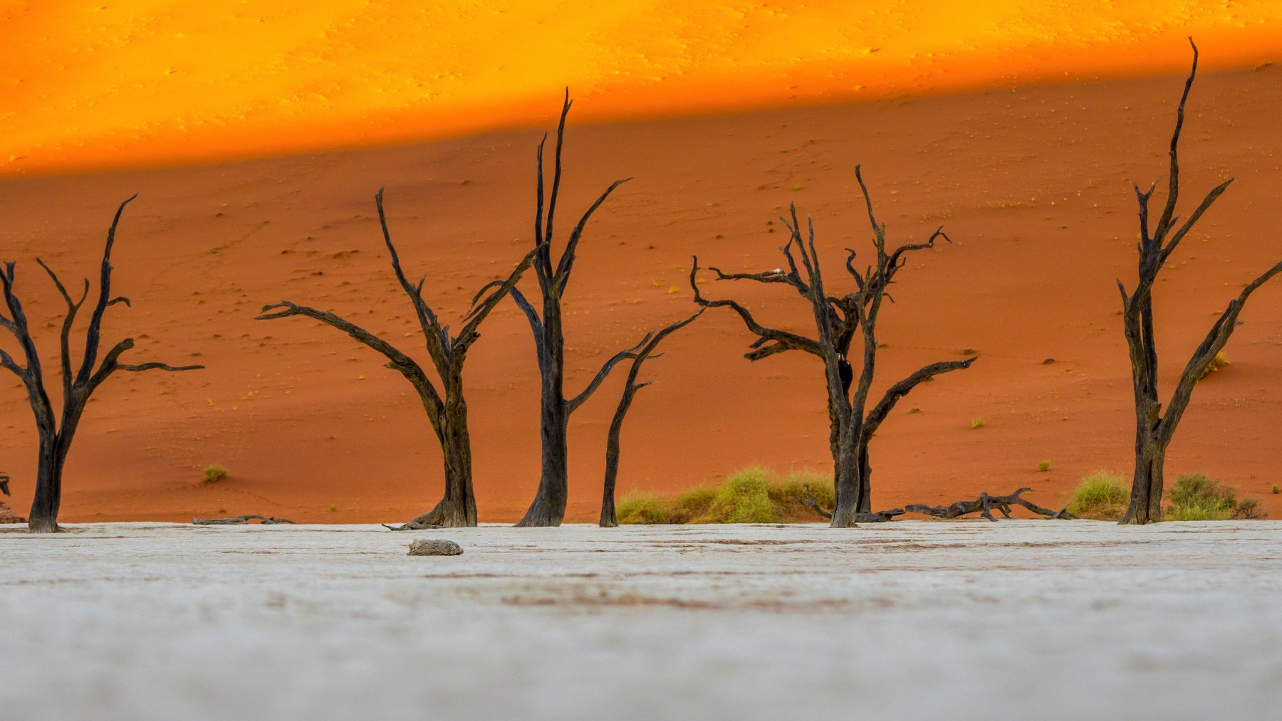 sequía, situación de emergencia
