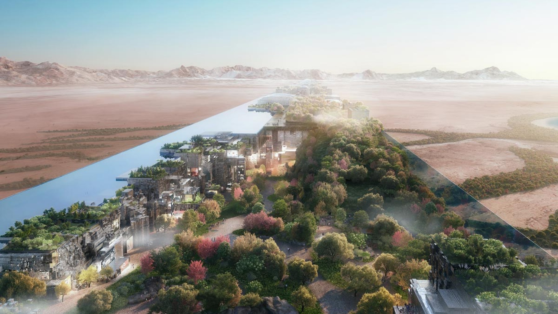 The Line Arabia Saudí