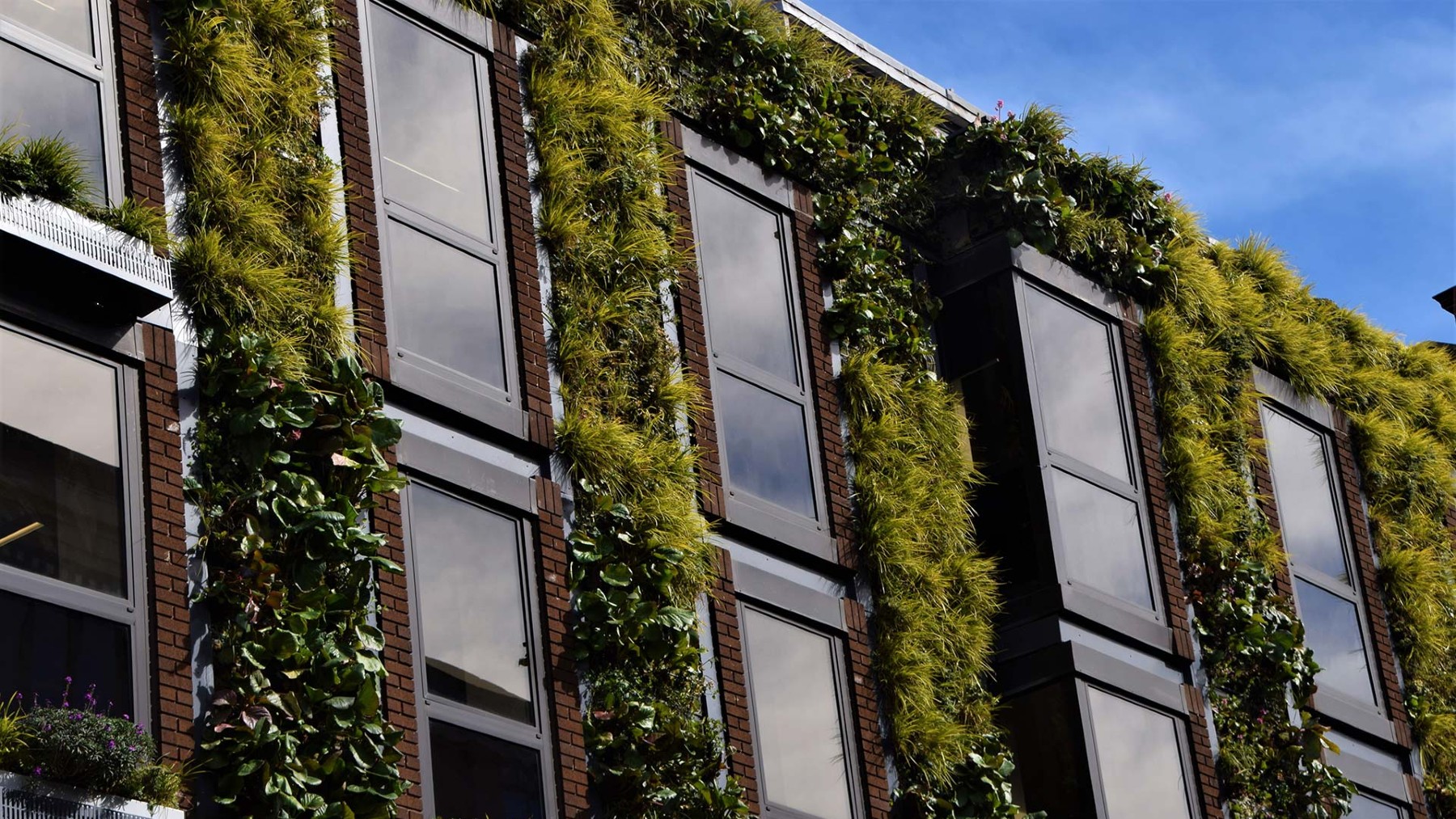 construcción sostenible