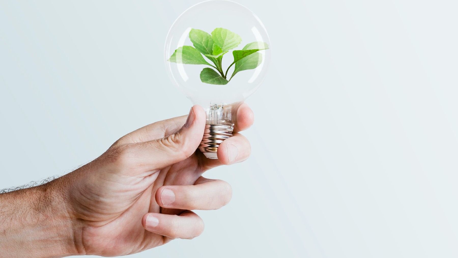 España produce hidrógeno a partir de algas y bacterias