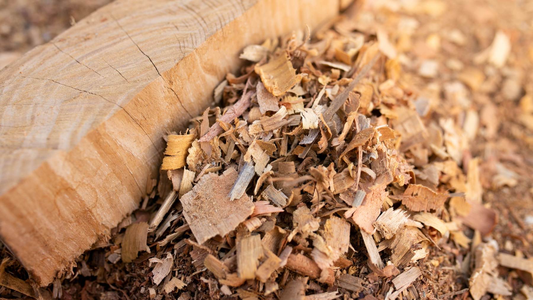 madera en electricidad