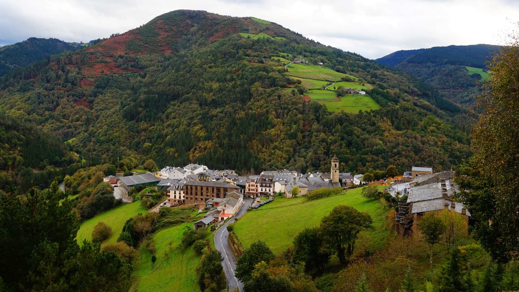 bosque encantado de España
