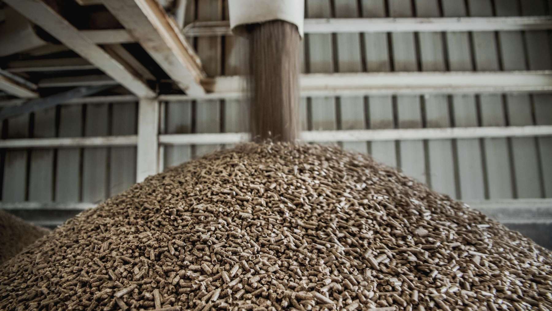 combustible del futuro