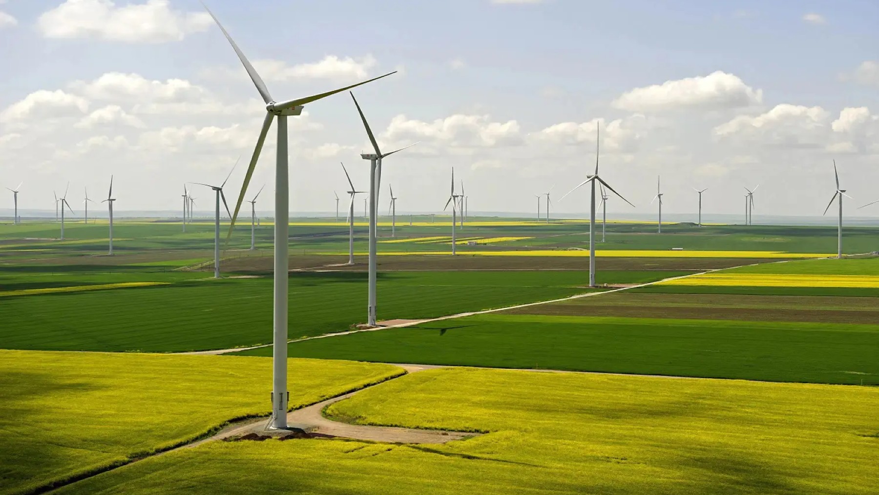 energía, energía eólica España