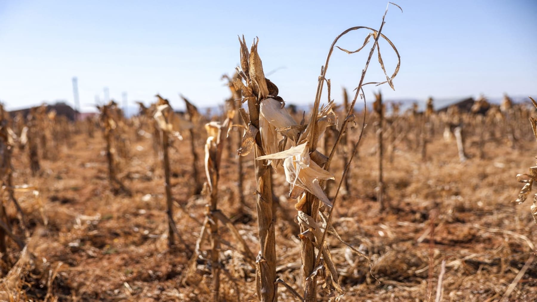 sequía espana movil