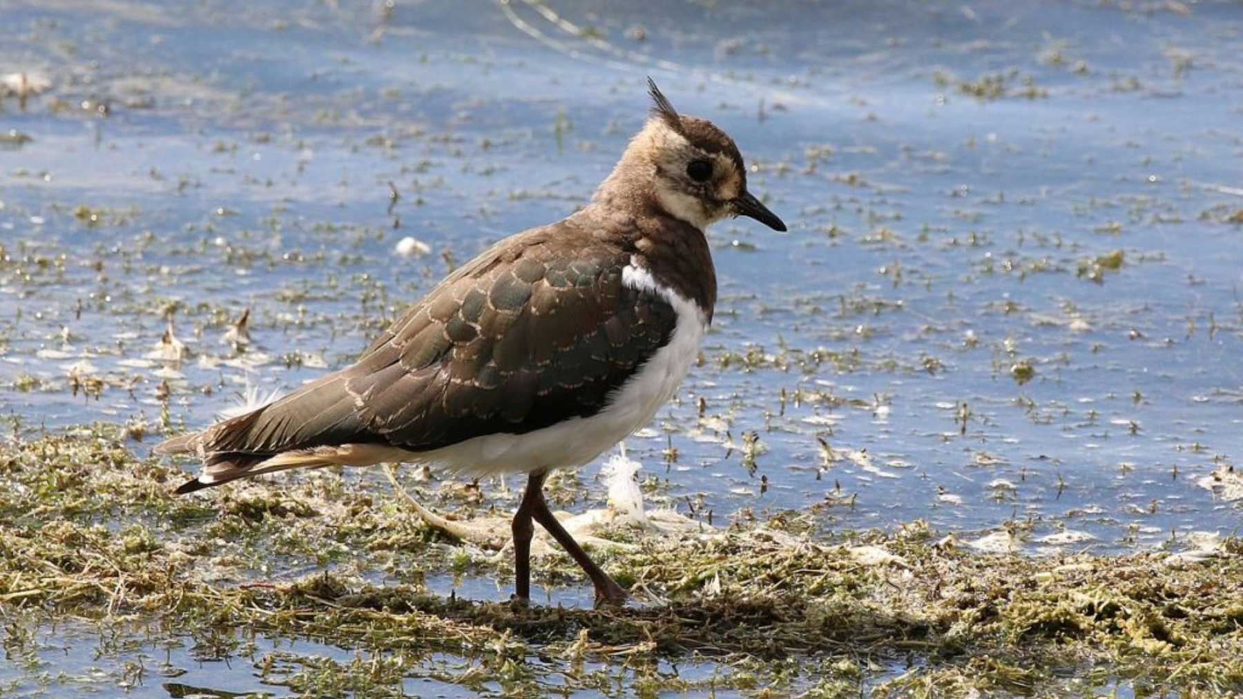 espana declive poblacion