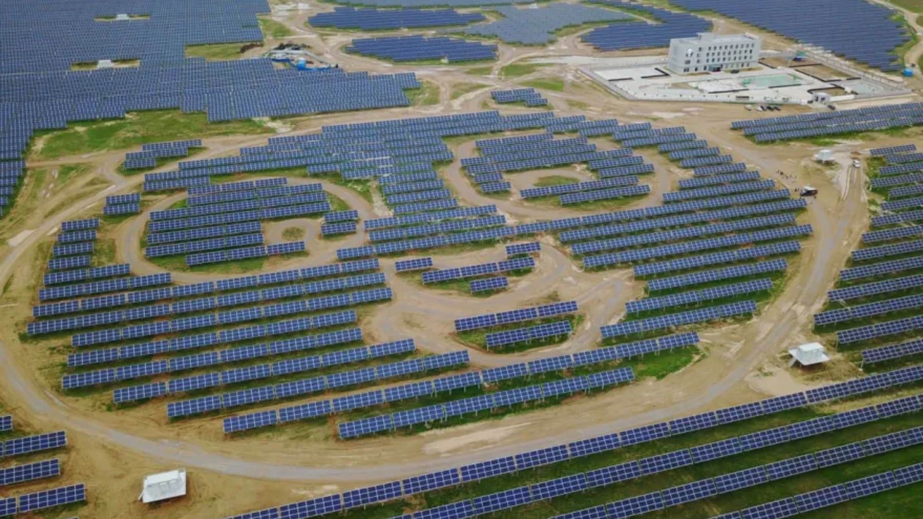 Sol parque solar oso panda