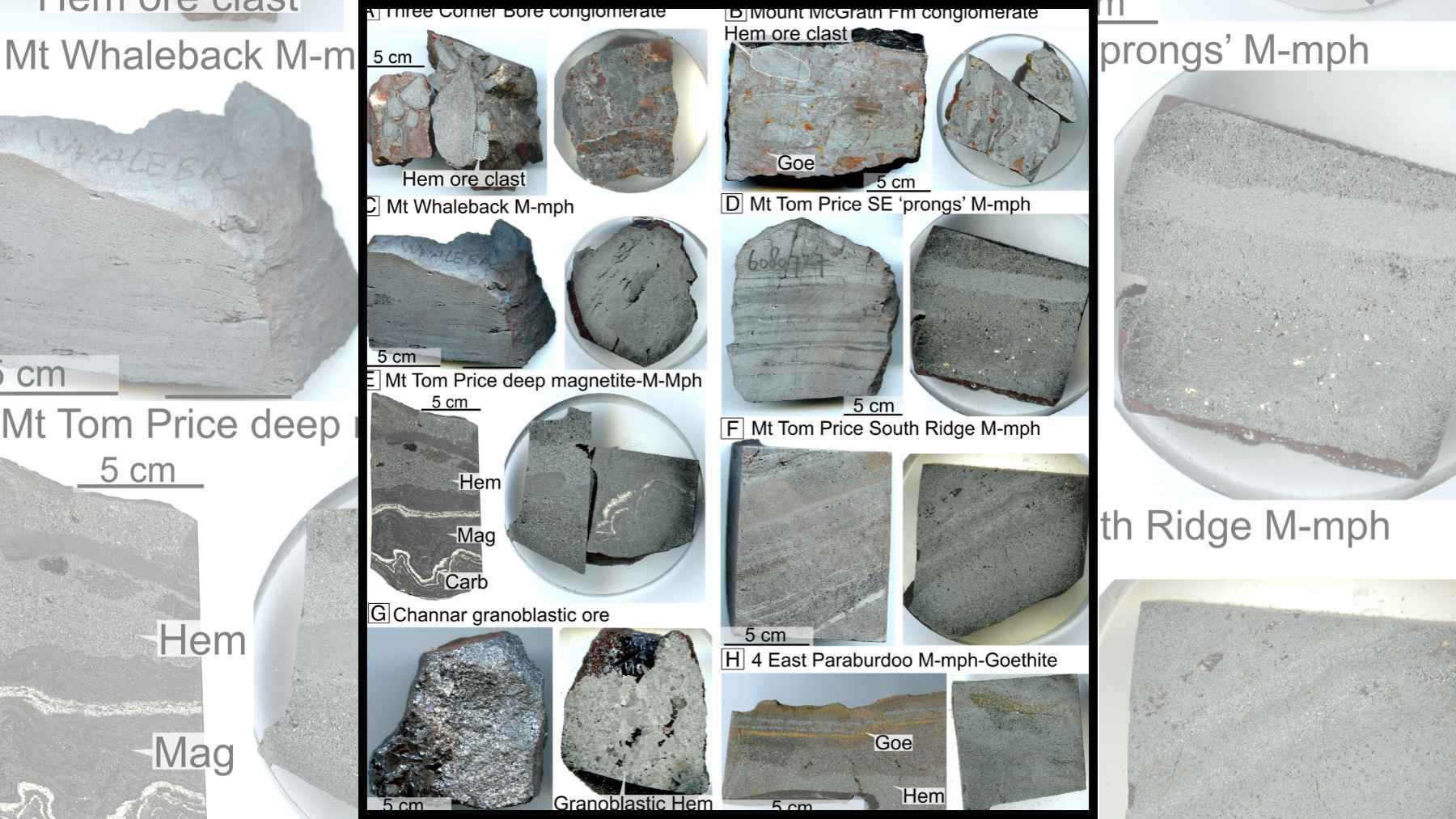 Muestras de mineral de hierro del yacimiento de Hamersley en Australia analizadas en un estudio geológico reciente