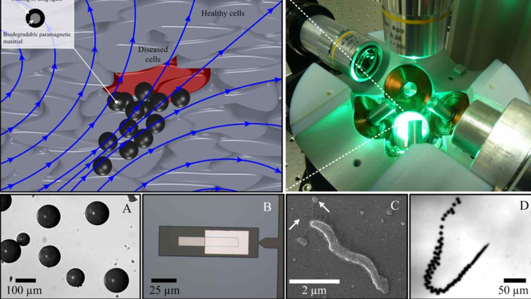 Adiós a las pastillas a lo bruto: este microbot libera el medicamento solo donde toca y luego desaparece