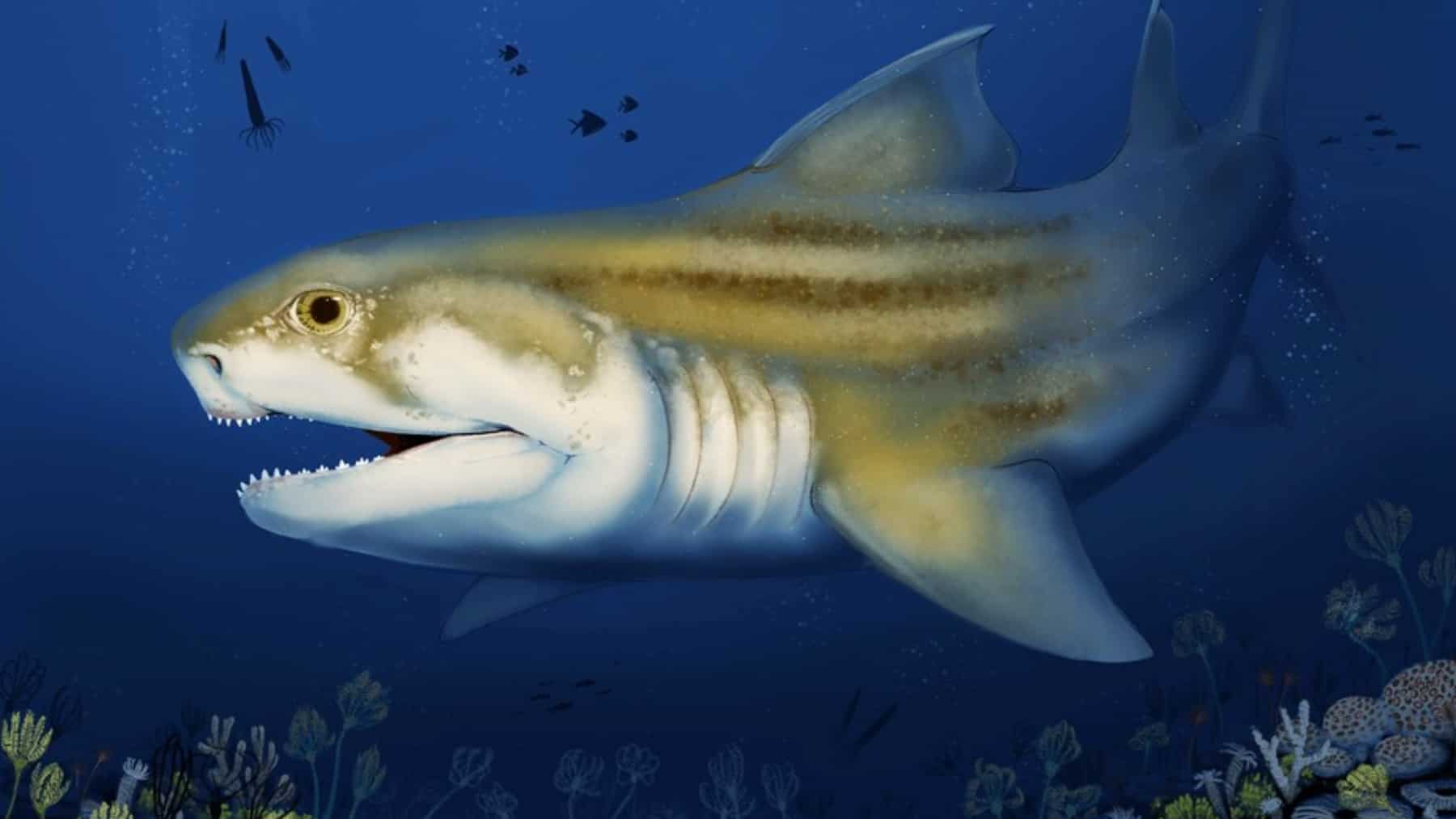 Recreación ilustrada de un tiburón prehistórico nadando en el océano